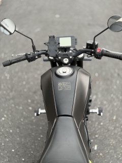 Benelli Young Lion Leoncino 250 - photo 6