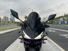 Kayo 250RR Thornbird - ფოტო 2
