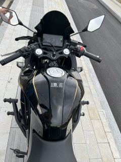 Kayo 250RR Thornbird - ფოტო 4