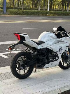 CFMOTO 250SR - ფოტო 2