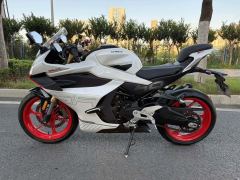 CFMOTO 450SR - ფოტო 2