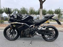 Kayo 250RR Thornbird - ფოტო 1