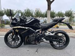 Kayo 250RR Thornbird - ფოტო 2