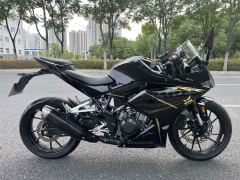 Kayo 250RR Thornbird - ფოტო 3