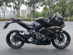 Kayo 250RR Thornbird - ფოტო 4
