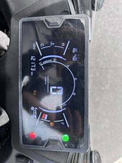Kayo 250RR Thornbird - ფოტო 6