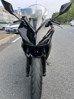 Kayo 250RR Thornbird - ფოტო 7