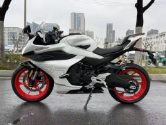 CFMOTO 450SR - ფოტო 2