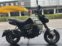CFMOTO Papio XO-1 125 cc - фото 1