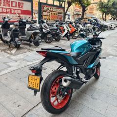 Yamaha YZF-R3 320 cc - ფოტო 2