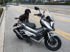 Lifan KPV150 - фото 3