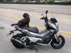 Lifan KPV150 - фото 4