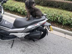 Lifan KPV150 - фото 7