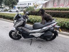 Lifan KPV150 - фото 9