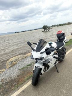 Kayo 450RR - фото 3