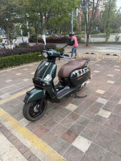 Weiduoliya Sixties 300i - photo 1