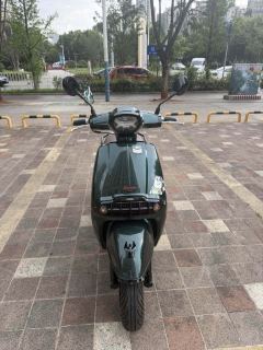 Weiduoliya Sixties 300i - photo 2
