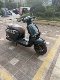 Weiduoliya Sixties 300i - photo 3