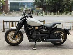 Cyclone RA600 560 cc - ფოტო 1