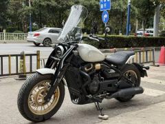 Cyclone RA600 560 cc - ფოტო 4