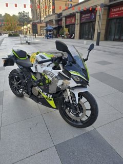 QJMOTOR SRK 250 - ფოტო 2