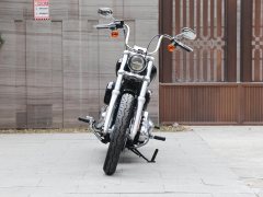 Harley-Davidson Softail Standard 1750 cc - photo 2