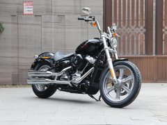 Harley-Davidson Softail Standard 1750 cc - photo 3