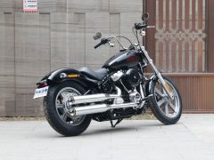 Harley-Davidson Softail Standard 1750 cc - photo 7