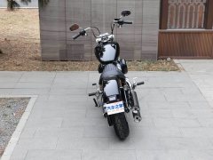 Harley-Davidson Softail Standard 1750 cc - photo 9