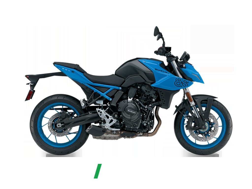 2024 Suzuki GSX-8S 800 cc