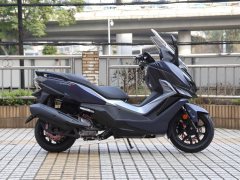 Xiaxinsanyang Cruisym300 - ფოტო 5