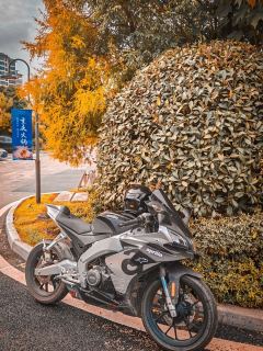 Zongshengapuliya GPR250R - фото 3