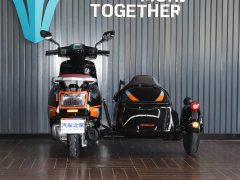 Changjiang GT57 250 cc - ფოტო 6