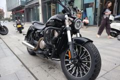 Benda Polestones 03 Gray 300 cc - photo 3