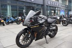 Kayo 250RR Thornbird - ფოტო 1