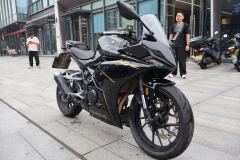 Kayo 250RR Thornbird - ფოტო 2