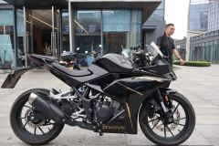 Kayo 250RR Thornbird - ფოტო 4