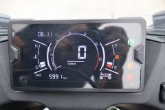 Kayo 250RR Thornbird - ფოტო 8