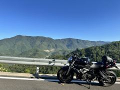 Benelli TNT600i - ფოტო 6