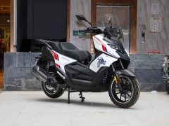 Cyclone RT2 250 cc - ფოტო 3