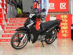Jianshe Yamaha T115 - ფოტო 1