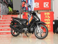 Jianshe Yamaha T115 - ფოტო 3