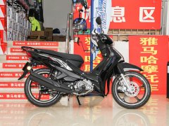 Jianshe Yamaha T115 - ფოტო 5