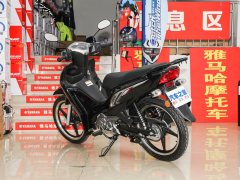 Jianshe Yamaha T115 - ფოტო 6