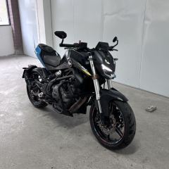 QJMOTOR Chase 350 - ფოტო 2