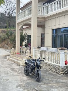 Benelli TNT600i - ფოტო 2