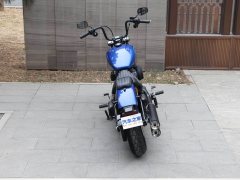 Harley-Davidson Street Bob 1870 cc - ფოტო 9