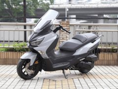 Xiaxinsanyang Joymax Z 300 - ფოტო 9