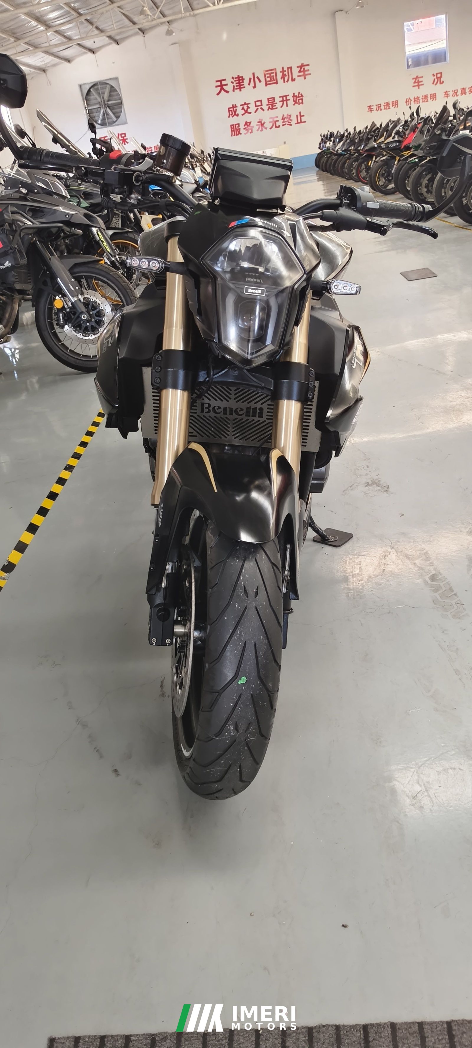 2024 Benelli TNT600i