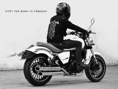 Feiling 400 - ფოტო 6
